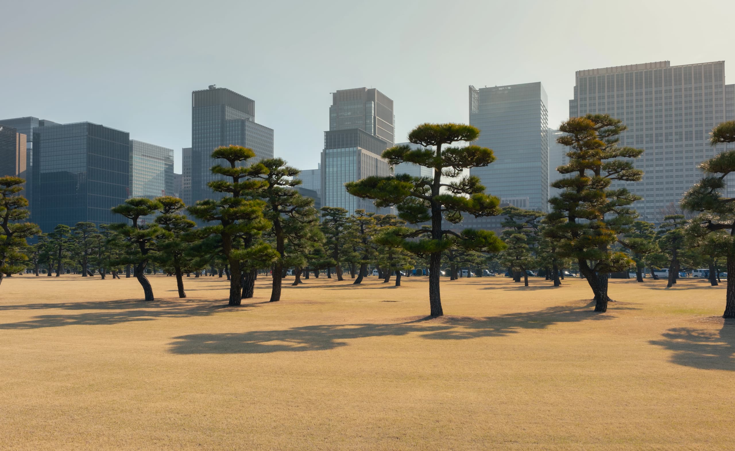 Kokyo Gaien, Chiyoda, Tokyo, Japan